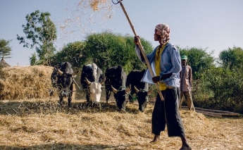 Agricultural resilience must be top priority for MENA region, highlights new report