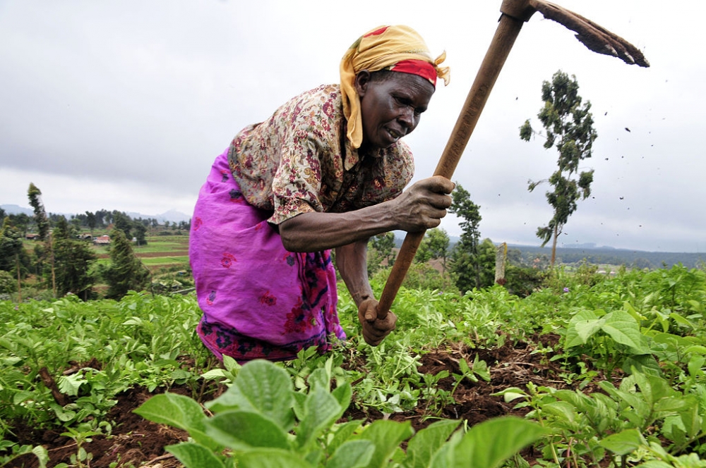 10-year Climate Smart Agriculture Implementation Framework launched in Kenya