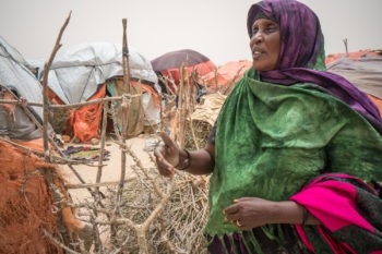 Co-ordination is crucial to tackle Somalian drought crisis